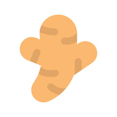 ginger flat icon