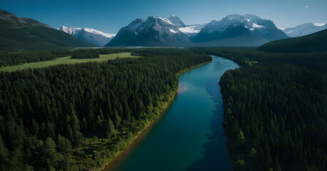 Obraz premium Turquoise river flowing through mountain valley with pine forest
