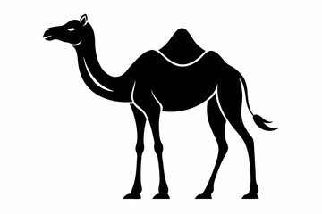 Arab Camel black and white silhouette