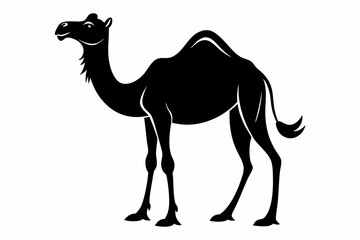 Arab Camel black and white silhouette