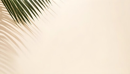 Obraz premium Palm leaf casting shadow on beige background minimalist tropical plant flat lay