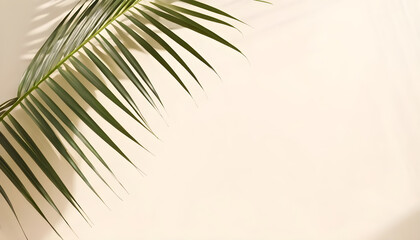 Single palm tree leaf casting shadow on beige background
