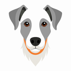 Best Dog Head, color Vector illustration
