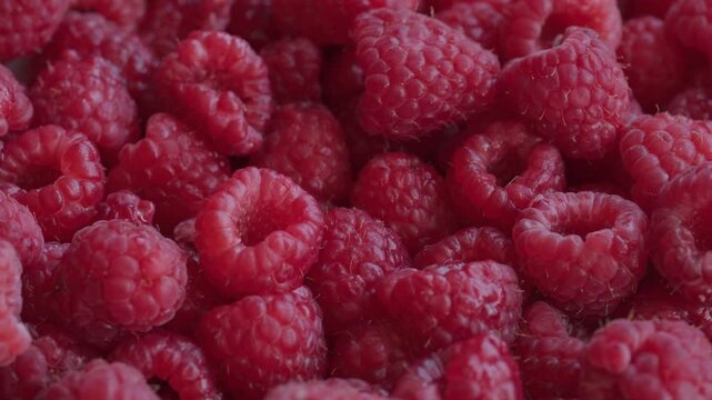Pile of fresh raspberries close up rotating background texture. Red fruit. Healthy organic food.