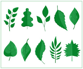 Realistic green foliage flying in air isolated on white background. Diverse plant leaves showcases various botanical designs, ideal for nature-related graphics and design projects