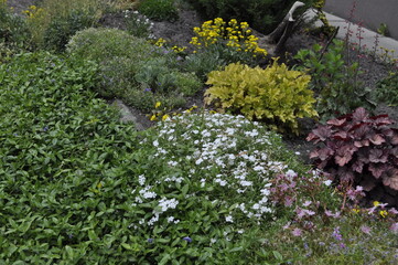 Beautiful Flower Bed with Diverse Plants and Flowers in a Picturesque Landscape
