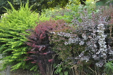 Beautiful Flower Bed with Diverse Plants and Flowers in a Picturesque Landscape