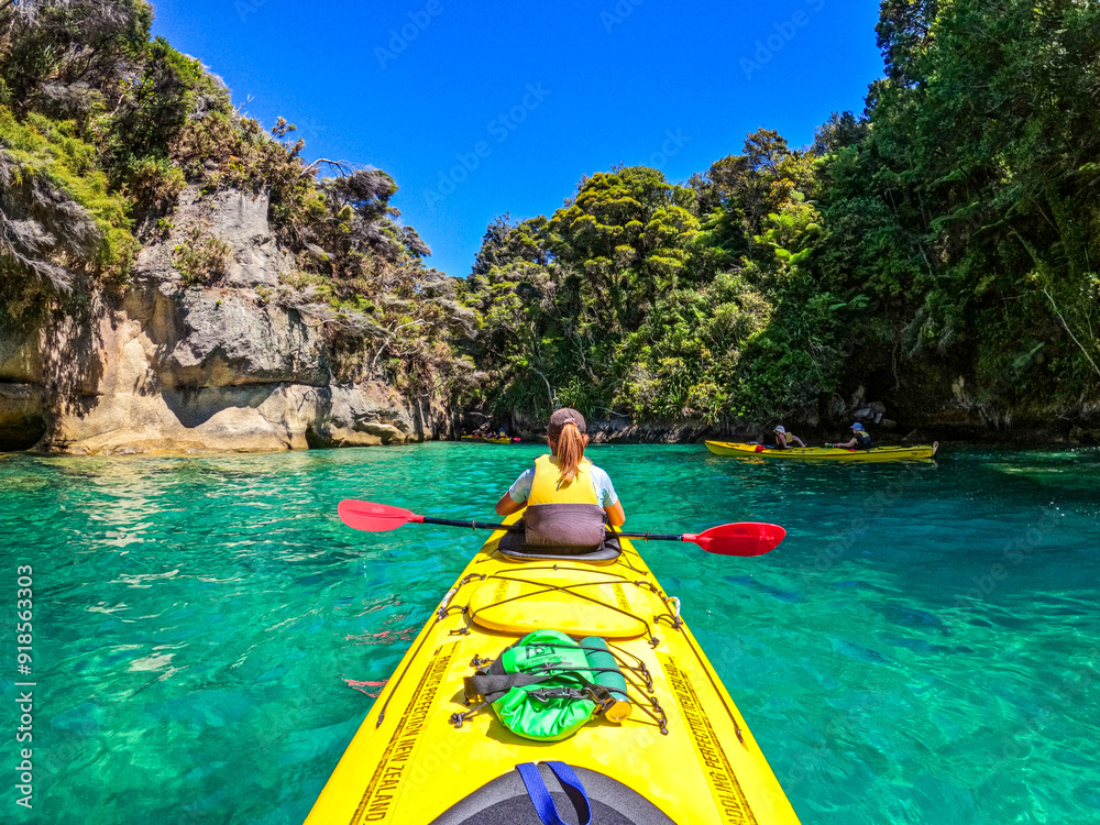 Wall mural tourists on a kayak tour in the abel tasman national park. clear blue turqouise water surrounds the 