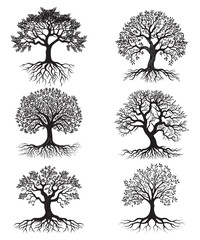 Tree silhouette on white background