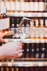 A sommelier's hand elegantly holds a transparent wine glass, showcasing the drink as a colorful selection of wine bottles stands prominently in the background.