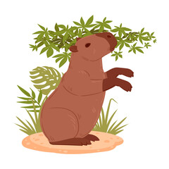 Cartoon capybara. Semi aquatic animal, wild capybara mammal in natural habitat flat vector illustration. Cute capybara