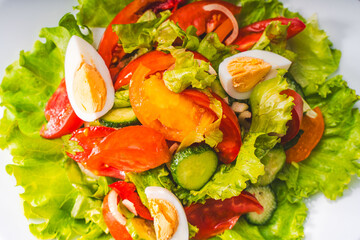 Vegetable salad of tomatoes, cucumbers, lettuce, red pepper and onion with boiled eggs on a white plate. Close-up