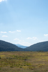 landscape of green field in the mountains on a sunny day