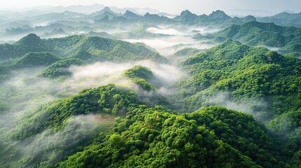   Aerial view of dense green forests in a misty mountain range