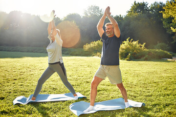 Elderly couple Engaged in Practicing Yoga Outdoors Amidst the Beauty of Nature and Fresh Air