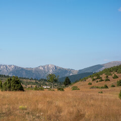 landscape of green field in the mountains on a sunny day