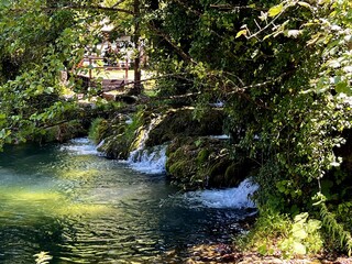 Obraz premium waterfall in the forest