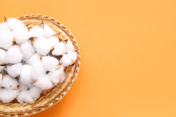 Cotton flowers in basket on orange background