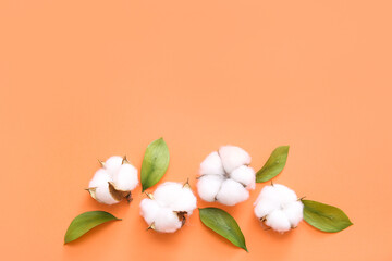 Cotton flowers and plant leaves on orange background