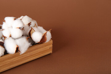 Cotton flowers in wooden crate on brown background