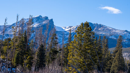 Rocky Mountain Winter
