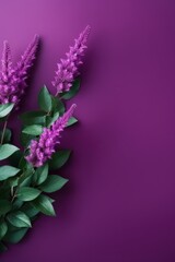 Obraz premium Elegant purple floral arrangement on a calm backdrop