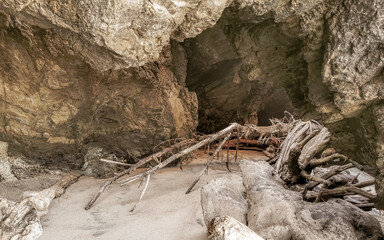 Beautiful pacific beach with washed up tree trunk wood Mexico.
