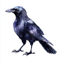 Minimalist Watercolor Raven Art for Kids