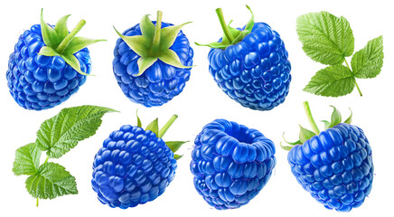 Set of juicy blue raspberries with leaves isolated on a transparent background.