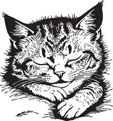 Obraz premium black and white illustration of a sleeping cat