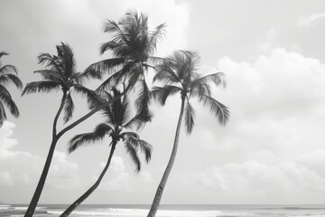 black and white photo of beach with palm trees, Palm trees swaying gently in the warm ocean breeze