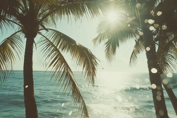 black and white photo of beach with palm trees, Palm trees swaying gently in the warm ocean breeze
