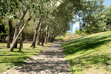 park with a path lined with trees and a city in the background