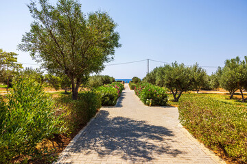 Pathway surrounded by greenery leading towards the sea in a hotel's outdoor area. Greece.