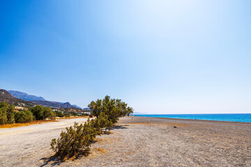 Gravel beach with scattered shrubs along coastline, clear blue sky and mountains in background. Greece.
