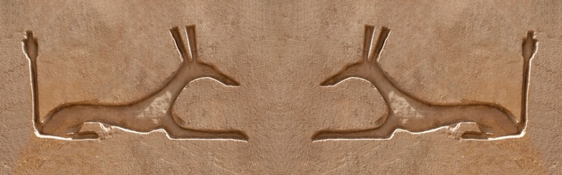 wall reliefs showing the Lord of Chaos or the god Seth  at Karnak temple complex . Luxor .