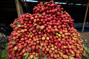 Ripe lychees, ready for sale at the market. Vibrant colors and juicy sweetness of this tropical delight, straight from the orchard to your table. Lychee, Litchi, Lichee, fruit
