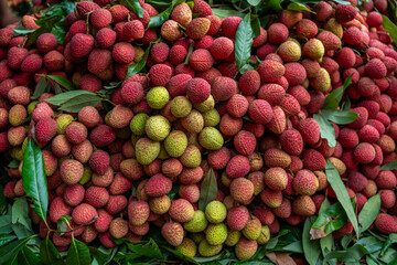 Ripe lychees, ready for sale at the market. Vibrant colors and juicy sweetness of this tropical delight, straight from the orchard to your table. Lychee, Litchi, Lichee, fruit