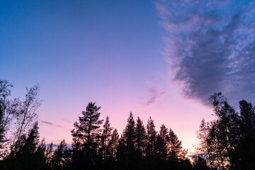 white night and evening in rovaniemi summer time with sunset in the forest