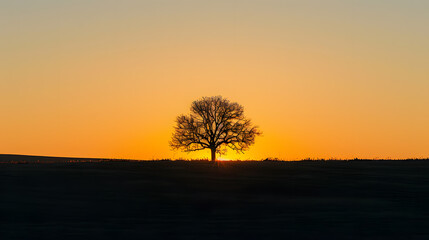 Naklejka premium A tree stands alone in a field at sunset