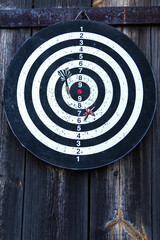 Dartboard against old tree background. Two darts hit the target of a dart board. Bad shots on...