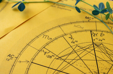 Printed yellow  astrology chart with green  fragile herb in the background, Jupiter and Uranus in Libra, detail © Blazenka
