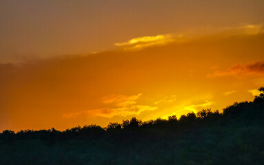 Obraz premium Colorful golden sunset sunrise tropical Caribbean palm trees jungle Mexico.