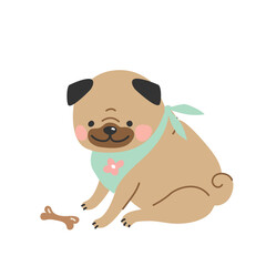 Cute cartoon pug in a bandana sits next to a bone. Vector illustration in a flat style.