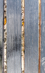 Wooden boards wall or door texture pattern in Mexico.
