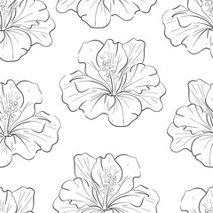 Vector seamless pattern with Hibiskus. Bright flower, Tropical botanic illustration. Summer exotic, elegant flora. Black silhouette for circuit © Yekaterina Kashutina