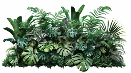 Obraz premium Tropical plants bush with lush green monstera, palm, rubber plant, pine, and fern, cut out
