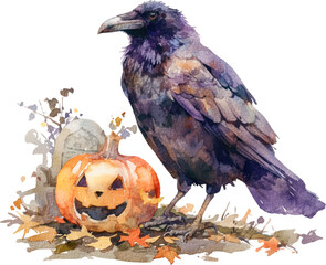 Fototapeta premium crow raven bird halloween holiday watercolor textured isolated animal clipart fear scary horror mood fall autumn