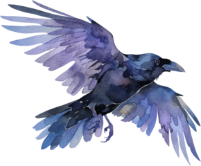 crow raven bird halloween holiday watercolor textured isolated animal clipart fear scary horror mood fall autumn