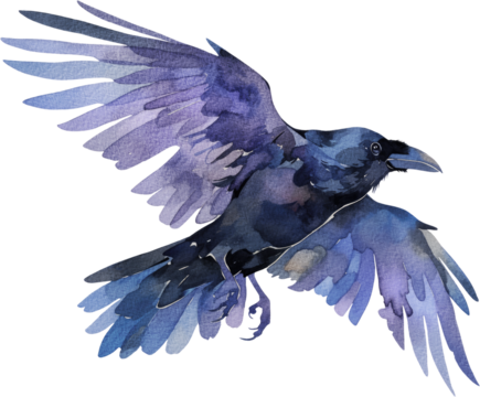crow raven bird halloween holiday watercolor textured isolated animal clipart fear scary horror mood fall autumn